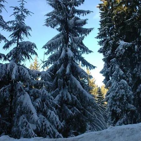 Cabana Piatra Plaiului Holiday home Budureasa