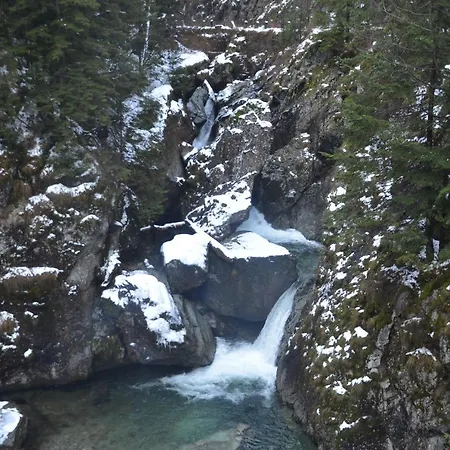 Cabana Piatra Plaiului *
