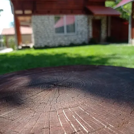 Holiday home Cabana Piatra Plaiului