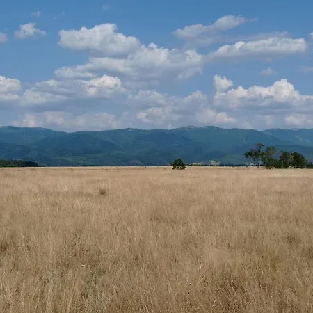 Nyaraló Cabana Piatra Plaiului *