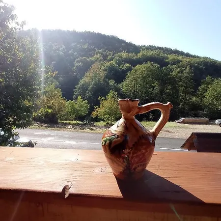 Cabana Piatra Plaiului Holiday home *