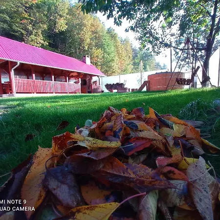 Cabana Piatra Plaiului Holiday home