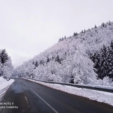 Cabana Piatra Plaiului Nyaraló *