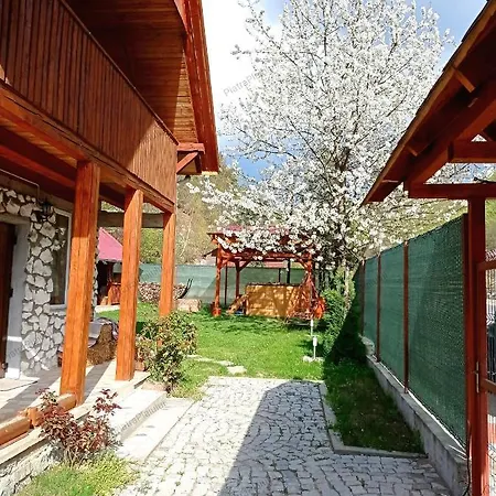 Holiday home Cabana Piatra Plaiului