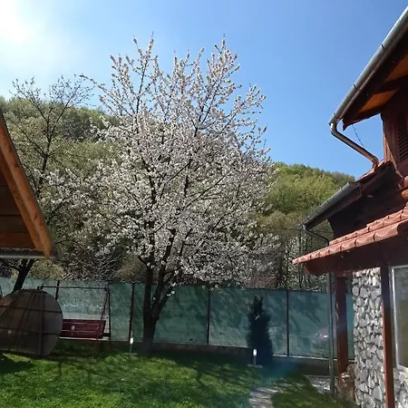 Cabana Piatra Plaiului * Budureasa