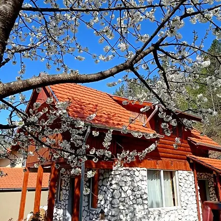 Cabana Piatra Plaiului