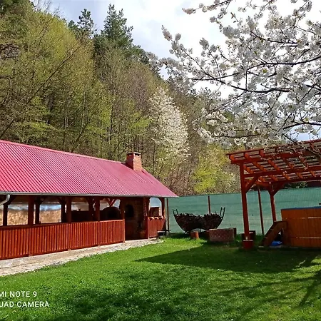 Cabana Piatra Plaiului Budureasa